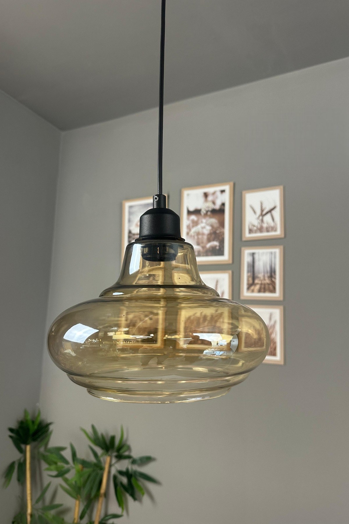 Lumsa Cam Bal Rengi Tekli Avize Siyah Yarım Lale Başlık Retro Sarkıt Lamba Salon Aydınlatma