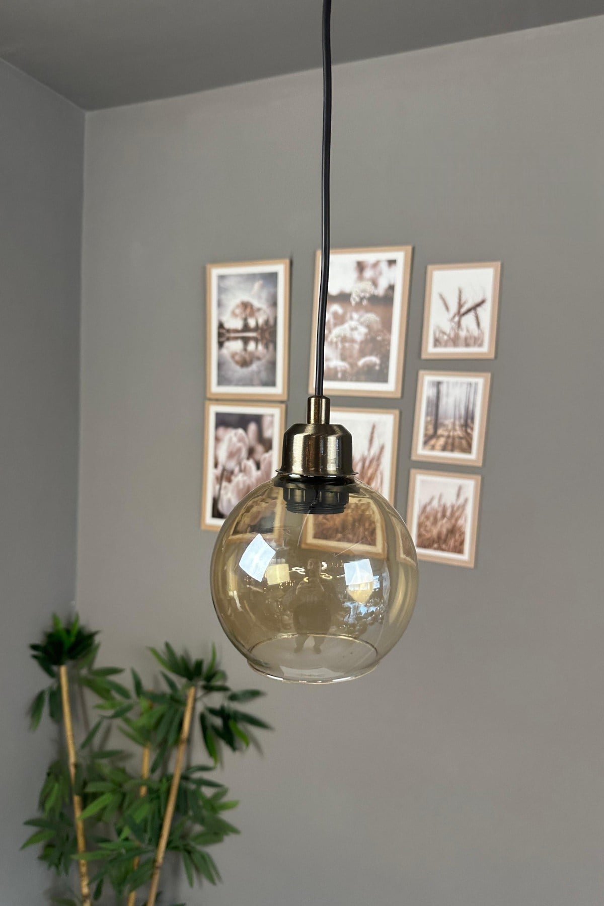 Oria Bal Rengi Cam Tekli Avize Eskitme Yarım Lale Başlık Retro Sarkıt Lamba Salon Aydınlatma