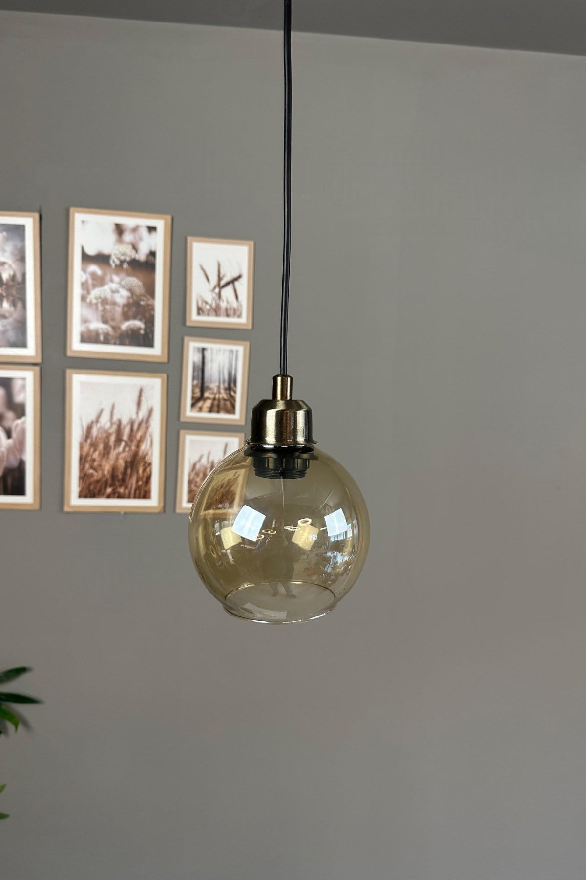 Oria Bal Rengi Cam Tekli Avize Eskitme Yarım Lale Başlık Retro Sarkıt Lamba Salon Aydınlatma