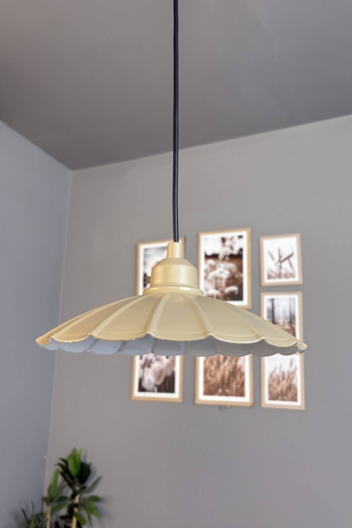 Risso Metal Avize Bej Yarım Lale Başlık Tekli Rustik Cafe Mutfak Modern Sarkıt Aydınlatma
