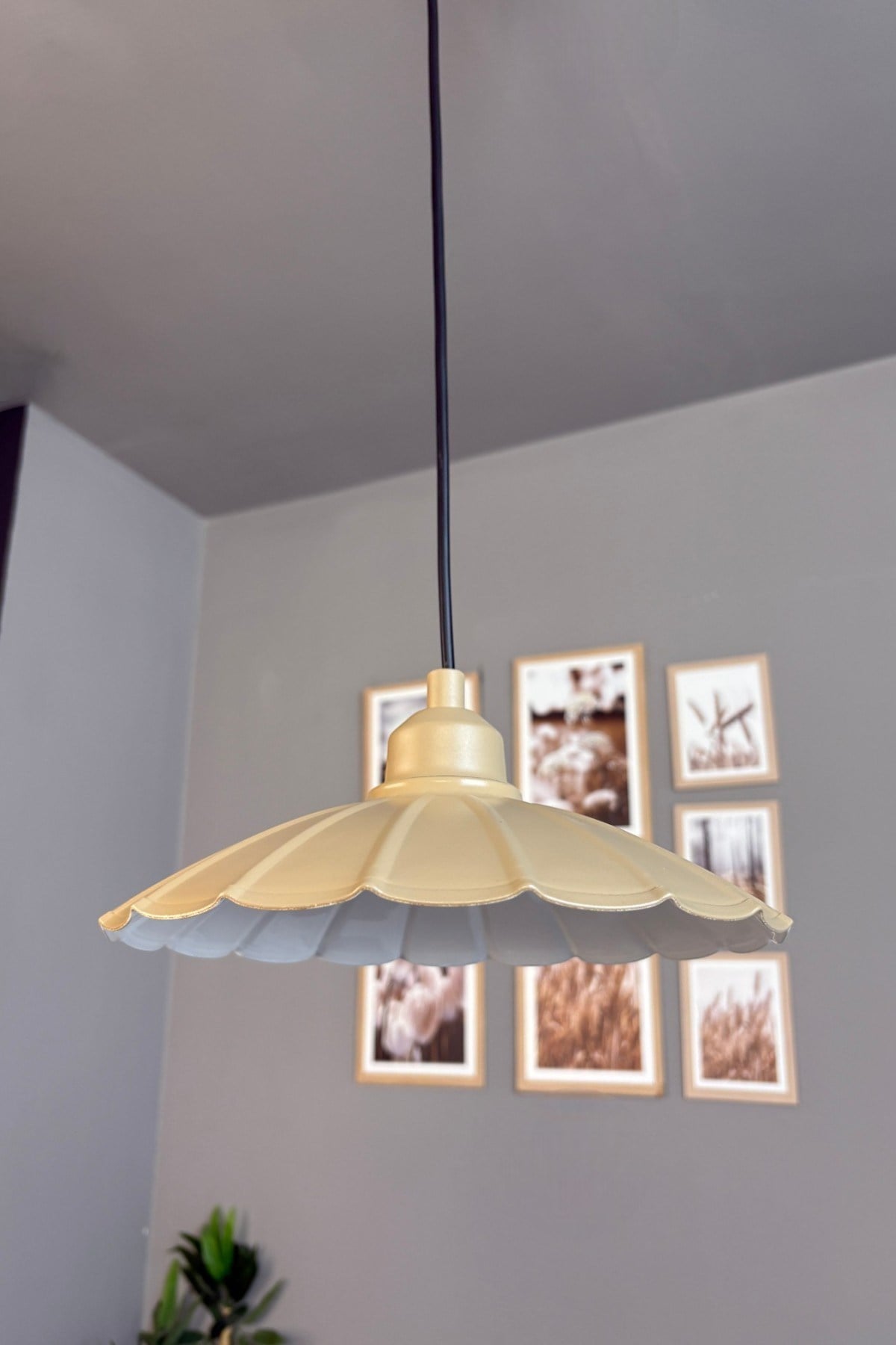 Risso Metal Avize Bej Yarım Lale Başlık Tekli Rustik Cafe Mutfak Modern Sarkıt Aydınlatma