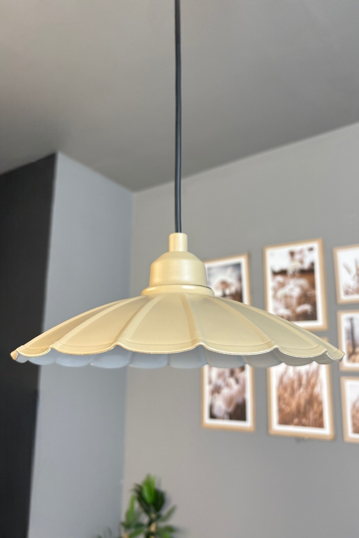 Risso Metal Avize Bej Yarım Lale Başlık Tekli Rustik Cafe Mutfak Modern Sarkıt Aydınlatma