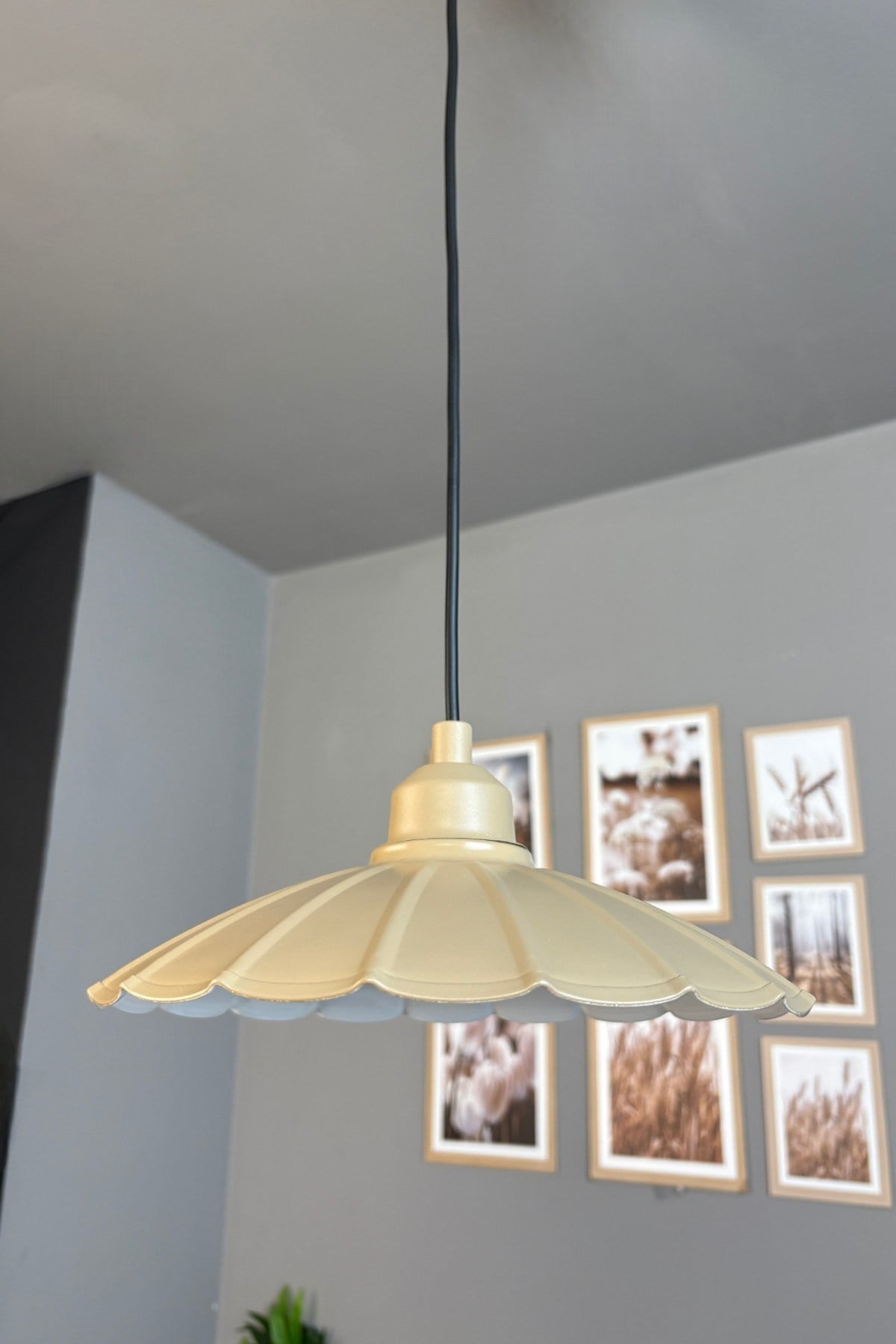 Risso Metal Avize Bej Yarım Lale Başlık Tekli Rustik Cafe Mutfak Modern Sarkıt Aydınlatma