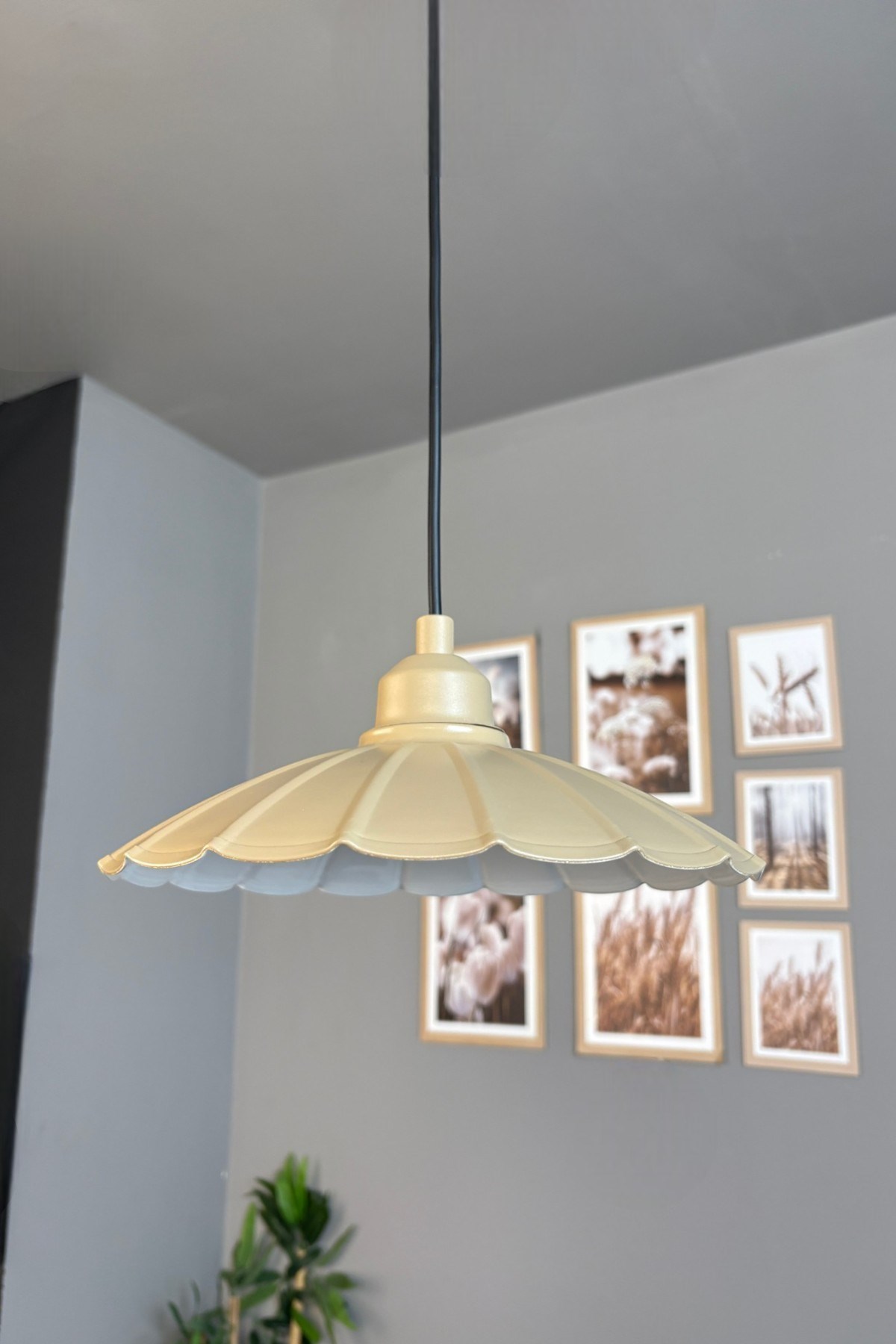 Risso Metal Avize Bej Yarım Lale Başlık Tekli Rustik Cafe Mutfak Modern Sarkıt Aydınlatma