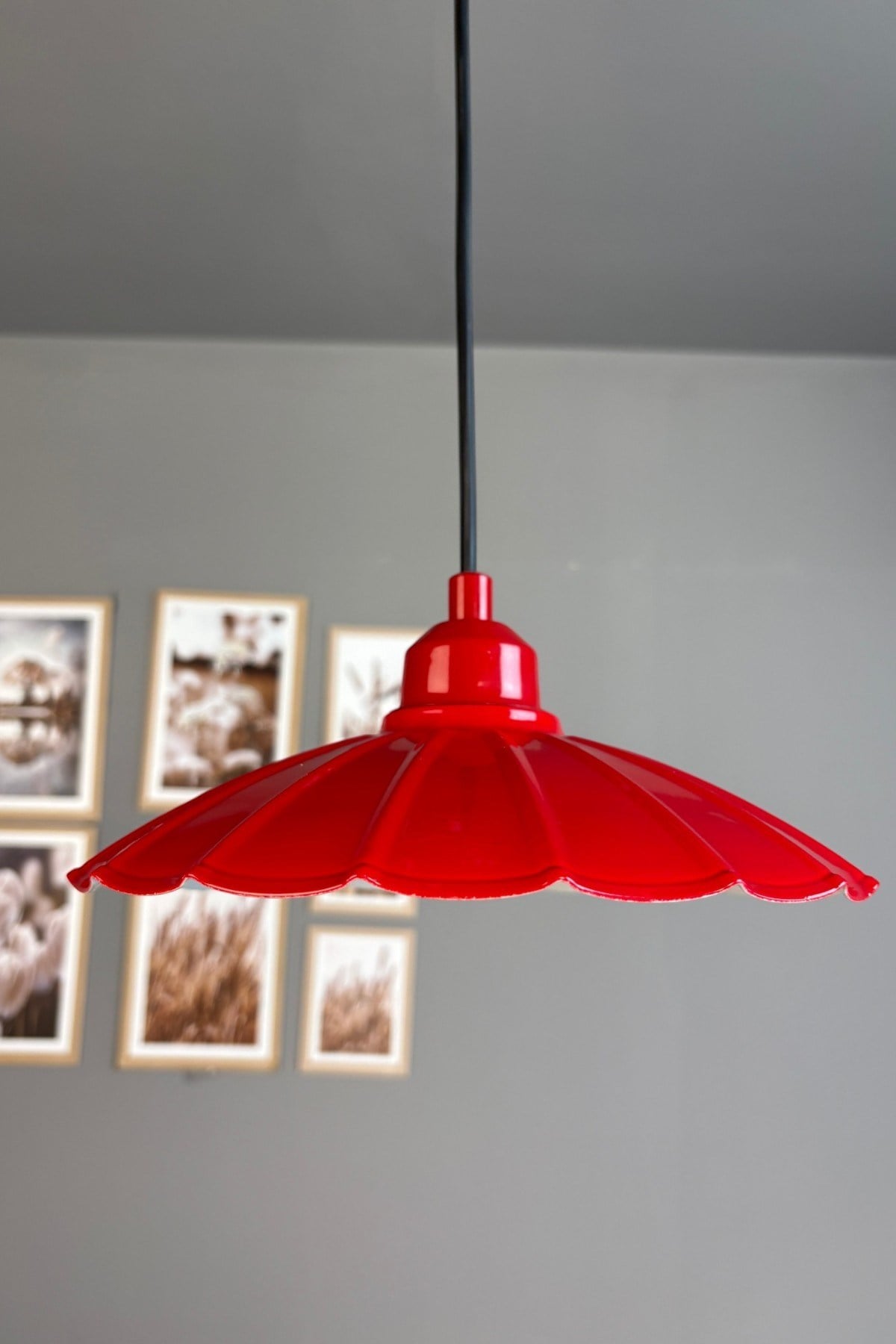Risso Metal Avize Kırmızı Yarım Lale Başlık Tekli Rustik Cafe Mutfak Modern Sarkıt Aydınlatma