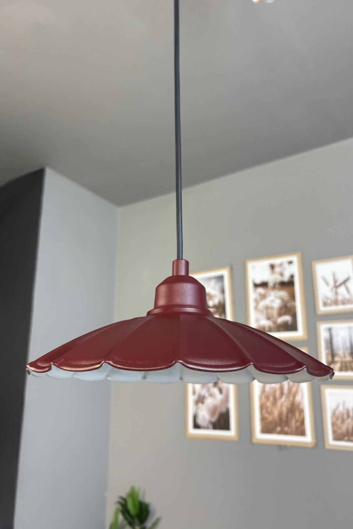Risso Metal Avize Vişne Çürüğü Yarım Lale Başlık Tekli Rustik Cafe Mutfak Modern Sarkıt Aydınlatma