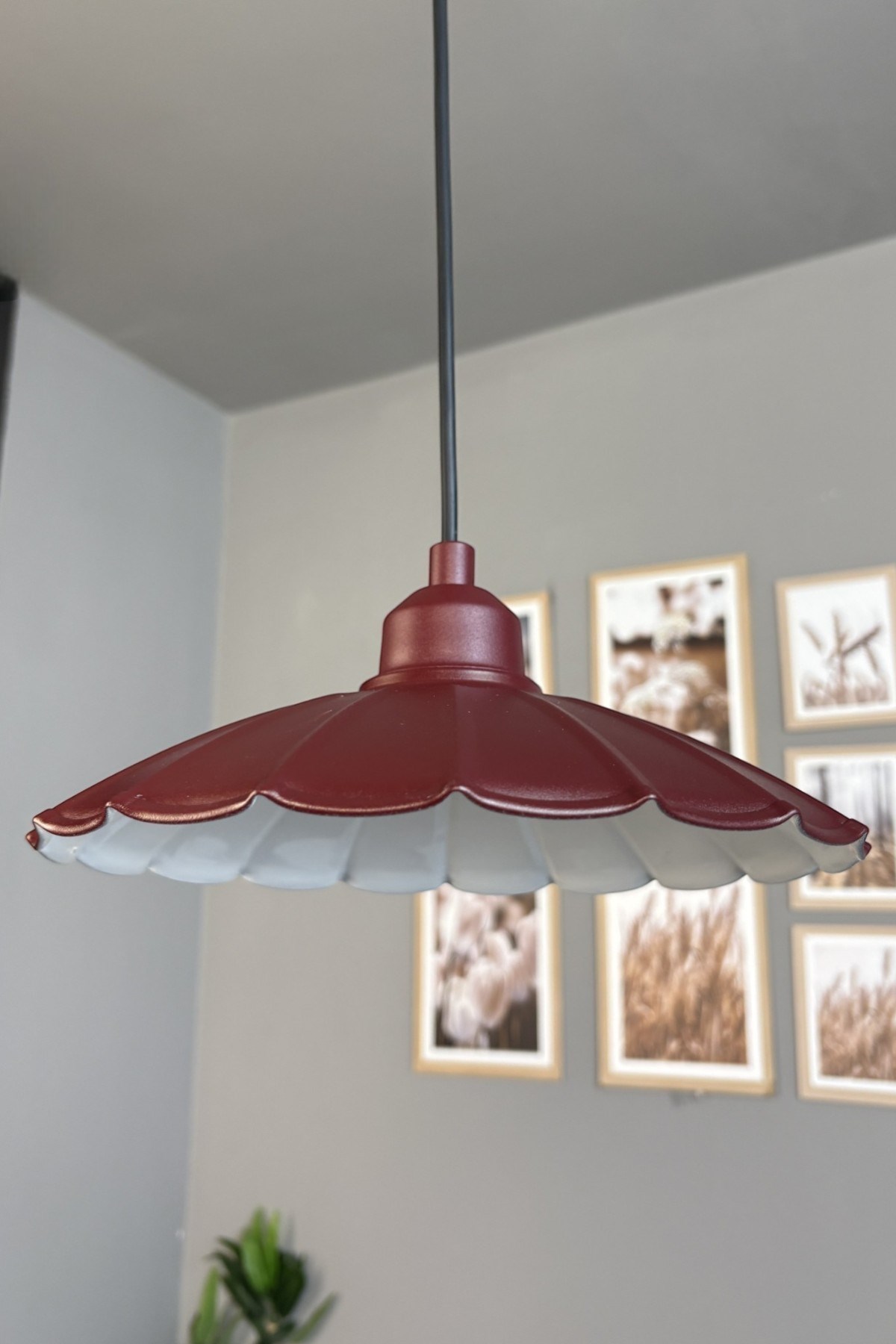 Risso Metal Avize Vişne Çürüğü Yarım Lale Başlık Tekli Rustik Cafe Mutfak Modern Sarkıt Aydınlatma