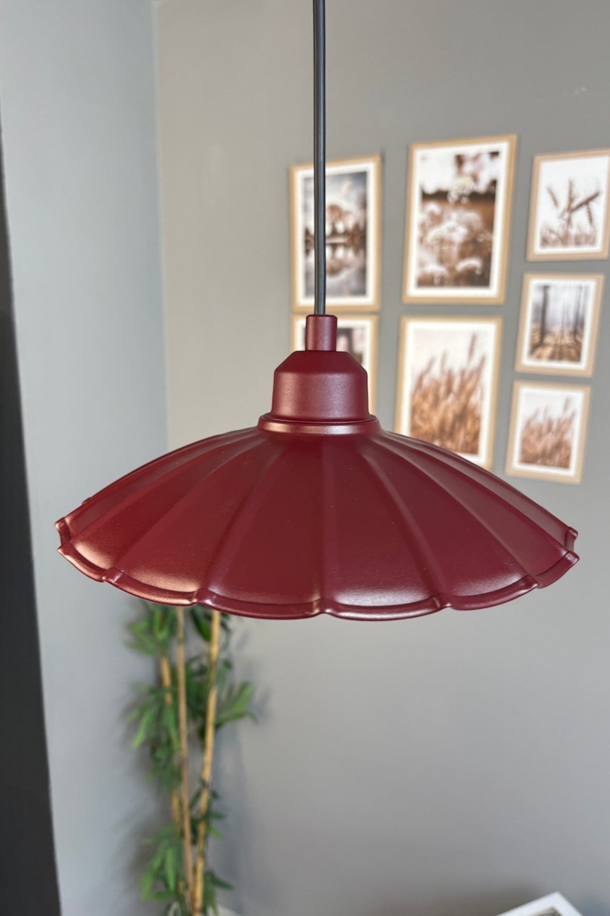 Risso Metal Avize Vişne Çürüğü Yarım Lale Başlık Tekli Rustik Cafe Mutfak Modern Sarkıt Aydınlatma