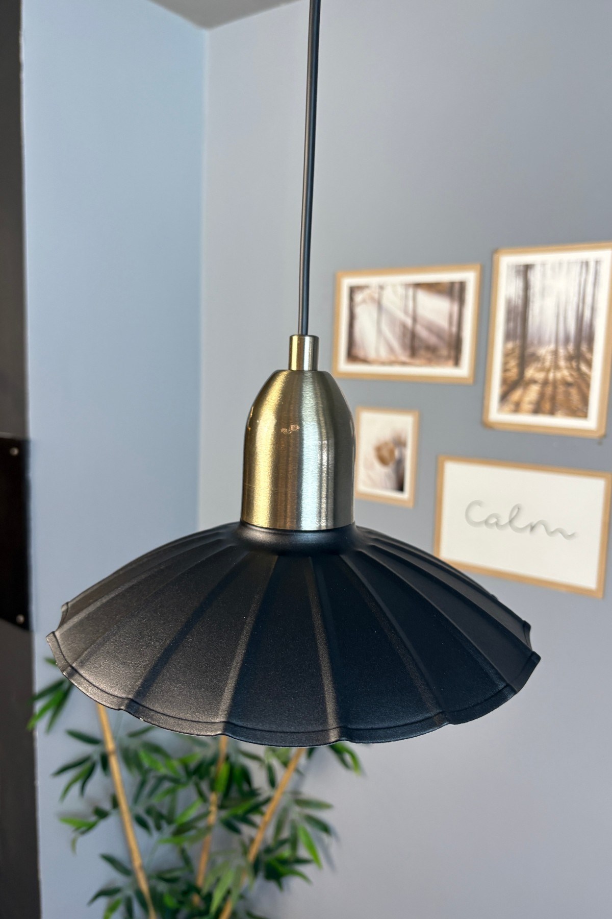 Risso Siyah Metal Avize Eskitme Dome Başlık Tekli Sarkıt Aydınlatma