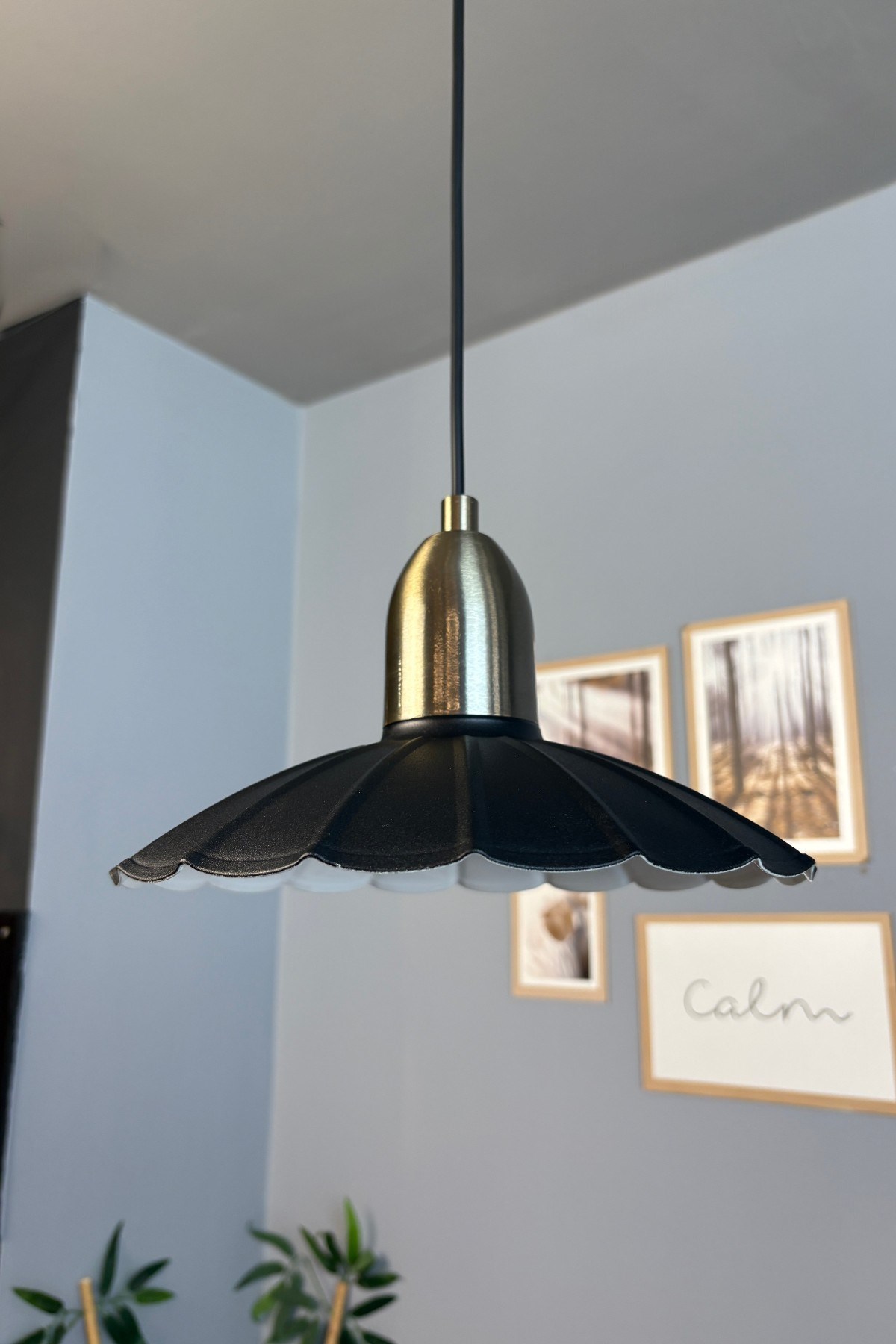 Risso Siyah Metal Avize Eskitme Dome Başlık Tekli Sarkıt Aydınlatma
