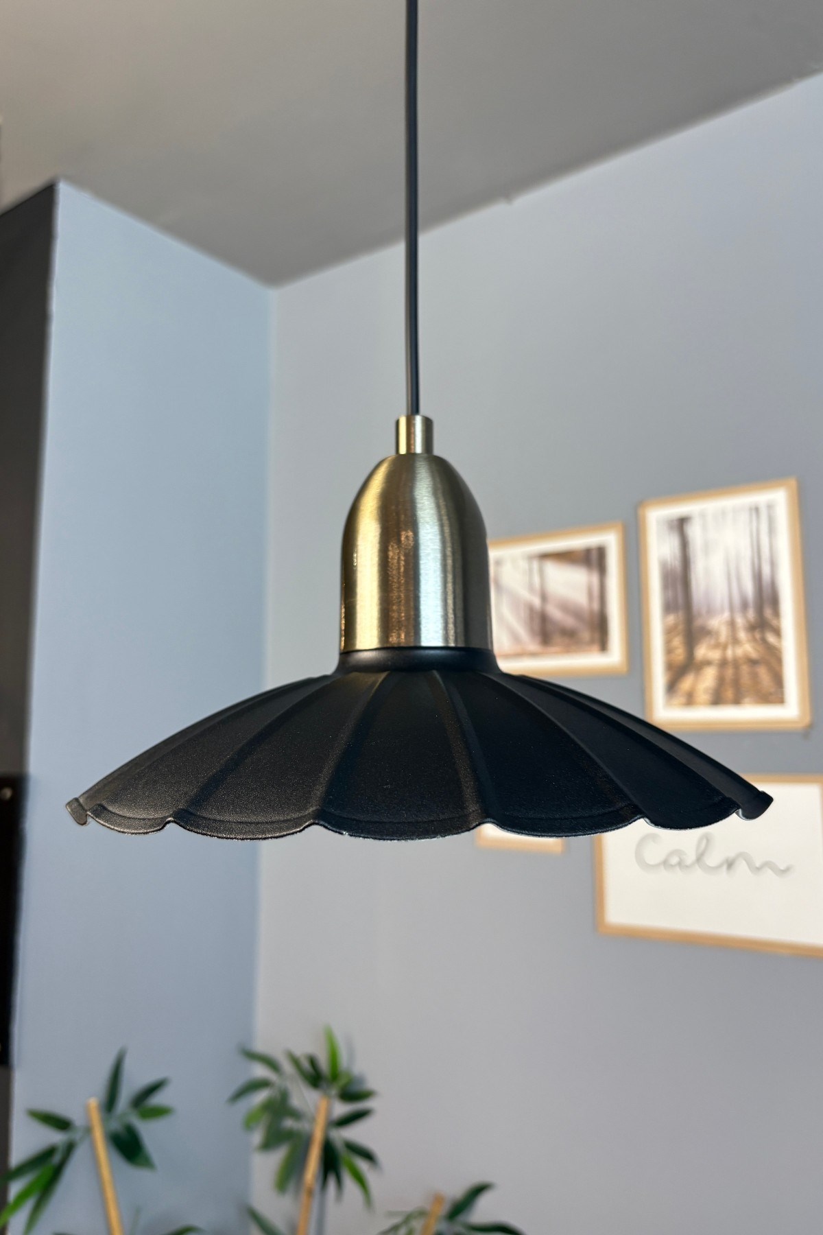 Risso Siyah Metal Avize Eskitme Dome Başlık Tekli Sarkıt Aydınlatma