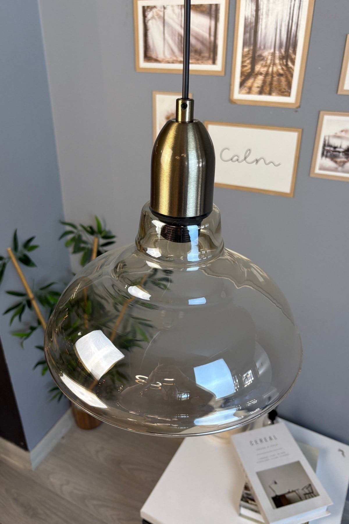 Vishi Cam Bal Rengi Tekli Avize Eskitme Dome Başlık Retro Sarkıt Lamba Restoran Salon Aydınlatma