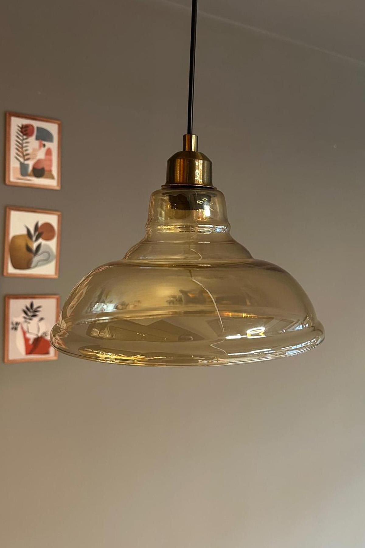 Vishi Cam Bal Rengi Tekli Avize Eskitme Başlık Retro Sarkıt Lamba Restoran Salon Aydınlatma