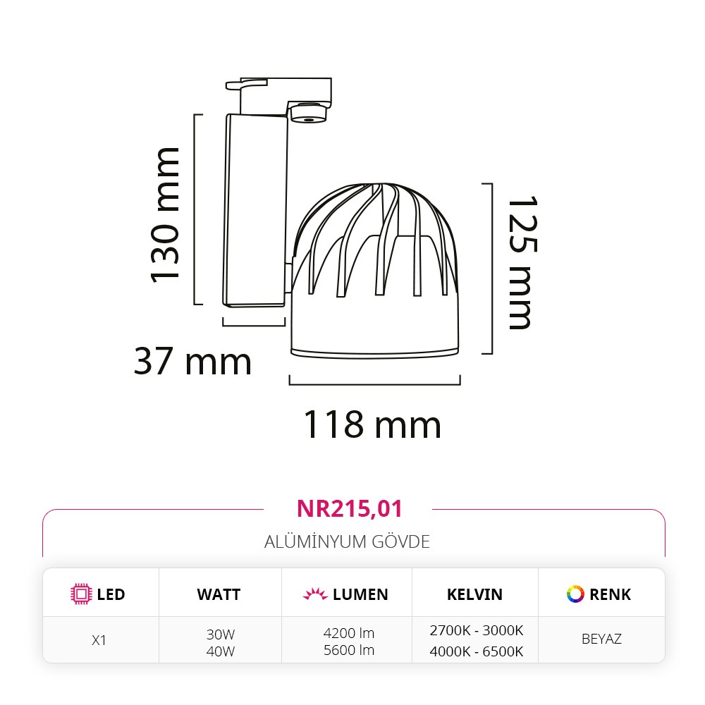 Nevo Dekoratif Ray Spot Beyaz NR215
