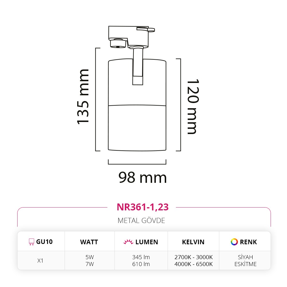 Nevo Dekoratif Ray Spot Eskitme Siyah NR361-1