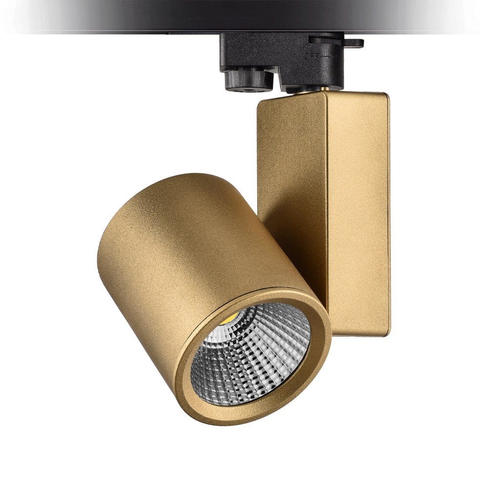 Nevo Dekoratif Ray Spot Gold Boyalı NR252