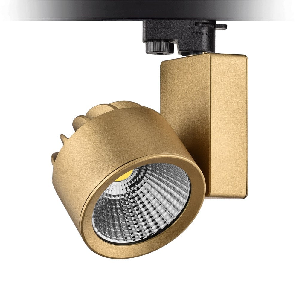 Nevo Dekoratif Ray Spot Gold Boyalı NR225