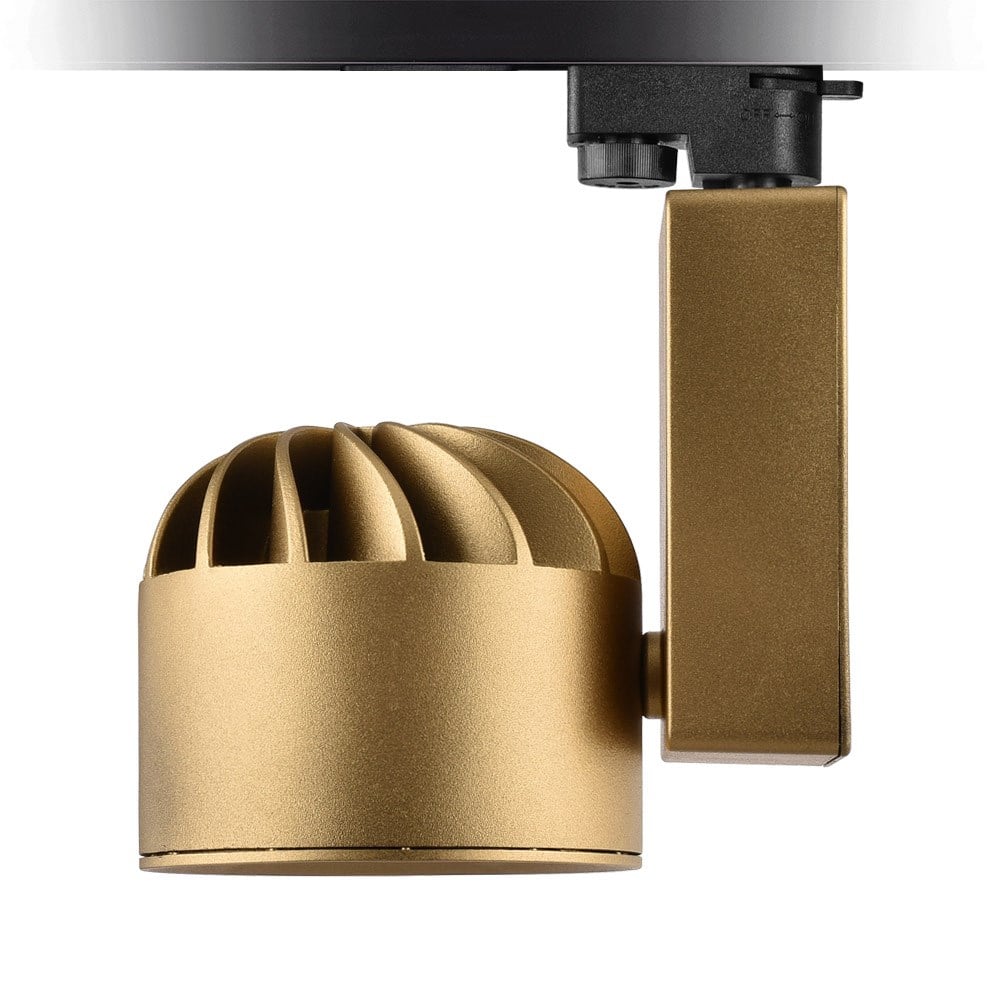 Nevo Dekoratif Ray Spot Gold Boyalı NR225