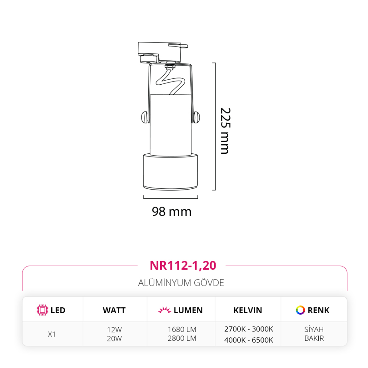 Nevo Dekoratif Ray Spot Siyah Bakır NR112-1