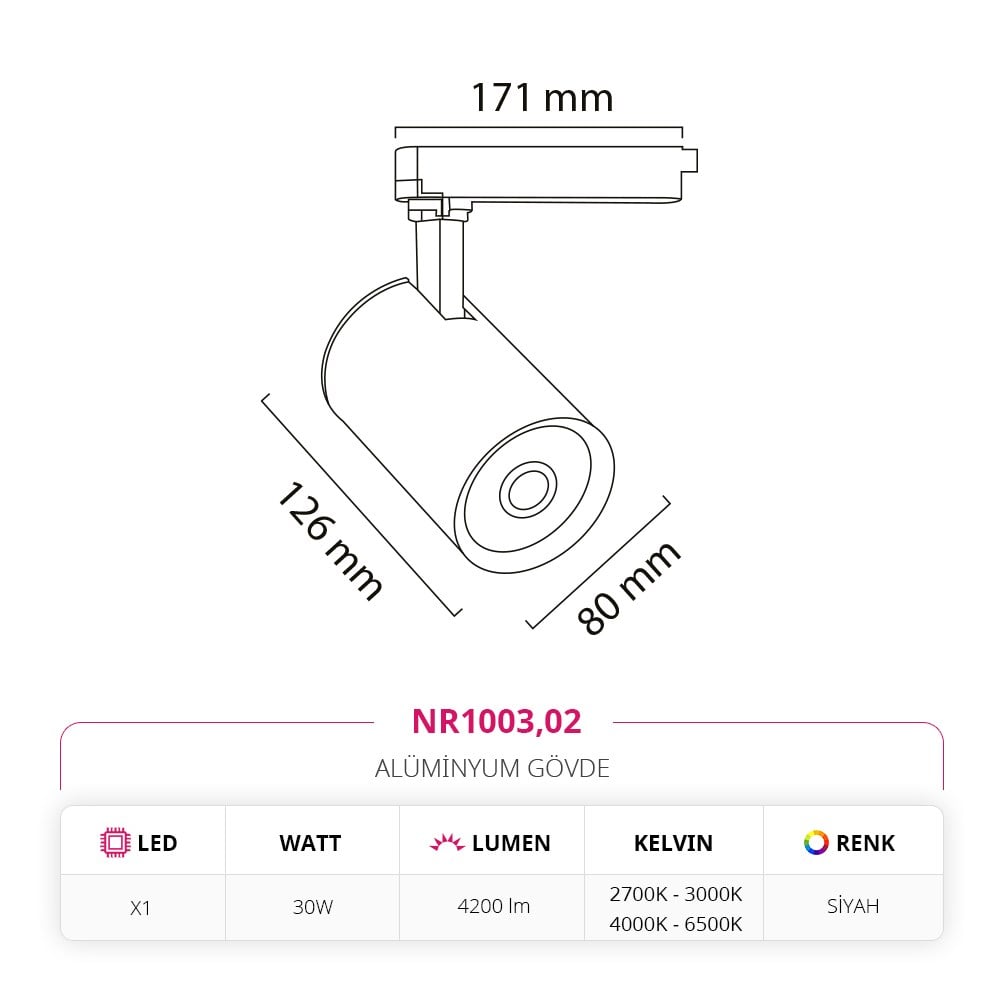 Nevo Dekoratif Ray Spot Siyah NR1003