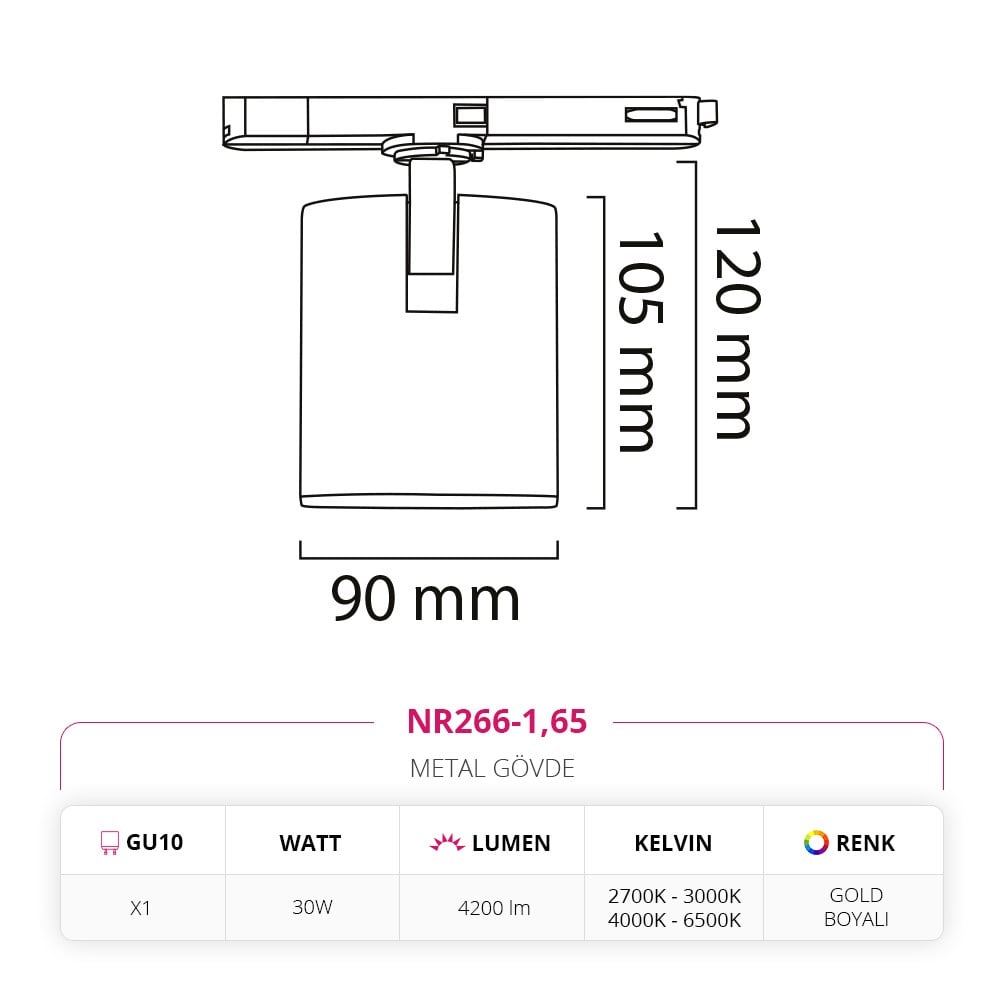 Nevo Driver Soketli Ray Spot Gold Boyalı NR266-1