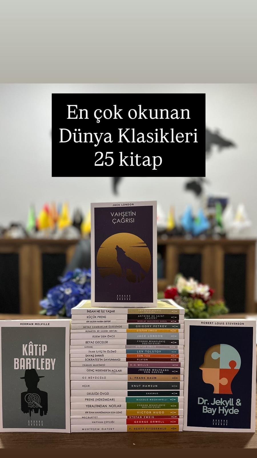 Mahzen YayınlarıDünya Klasikleri 25 Kitaplık Set