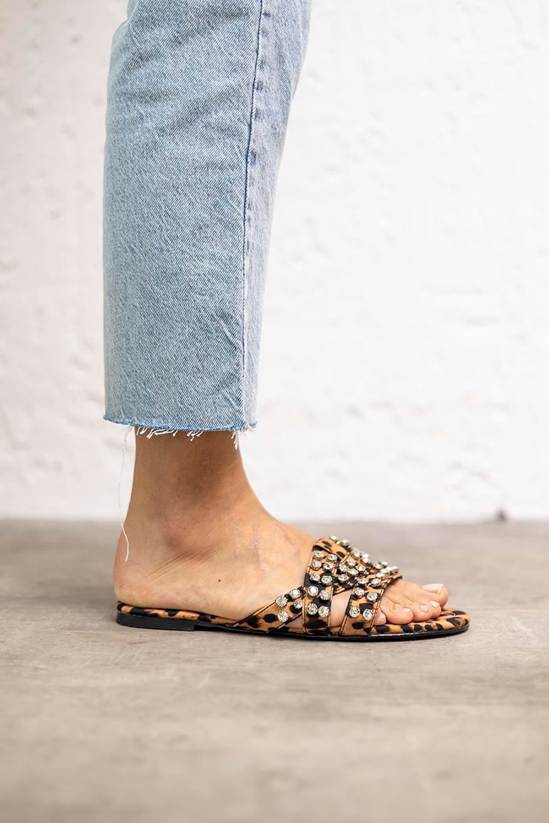 Leopar 1 cm Topuk Kadın Terlik Mov