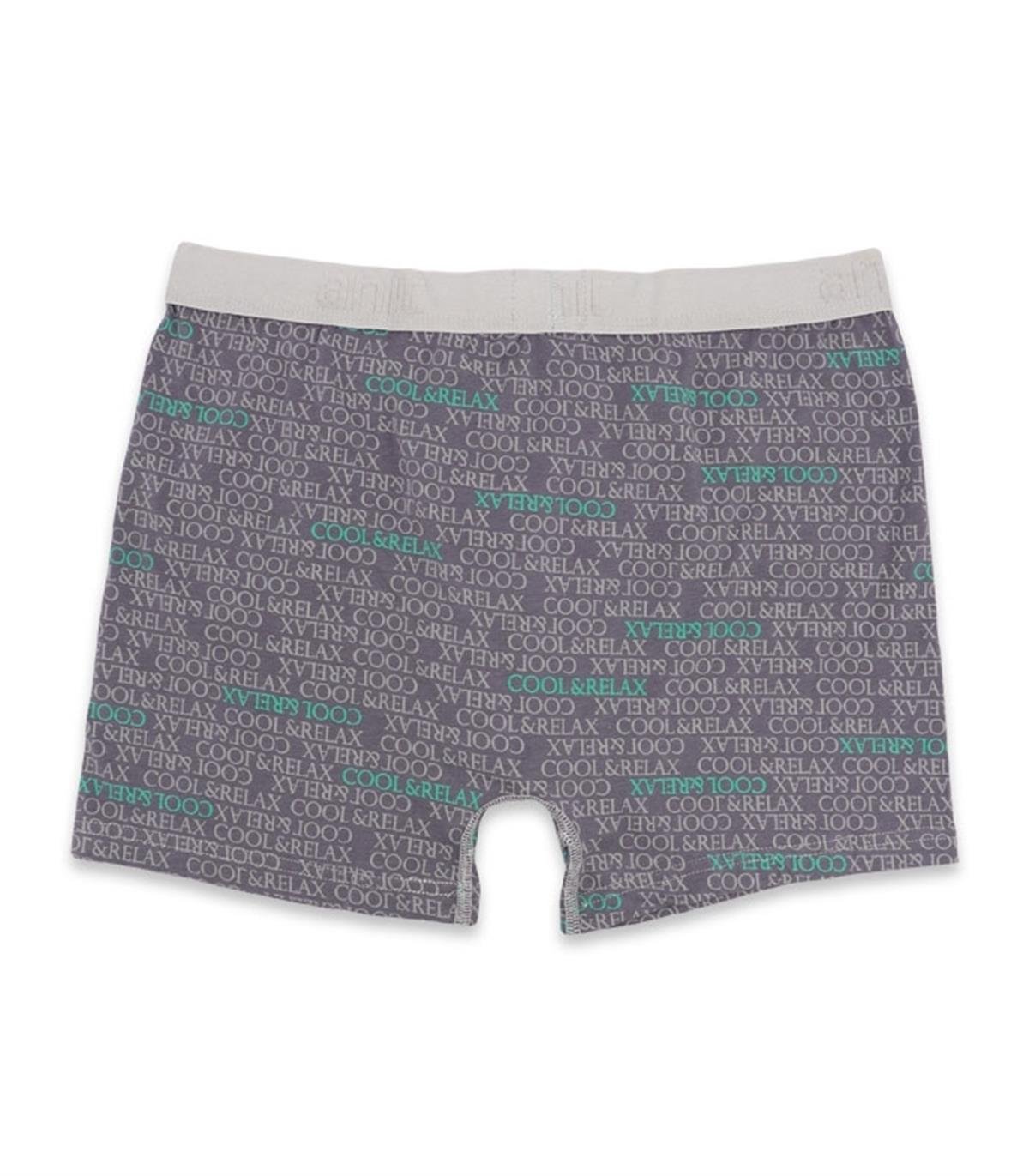 Boxeranıt 1267 Erkek Lycralı Penye Boxer