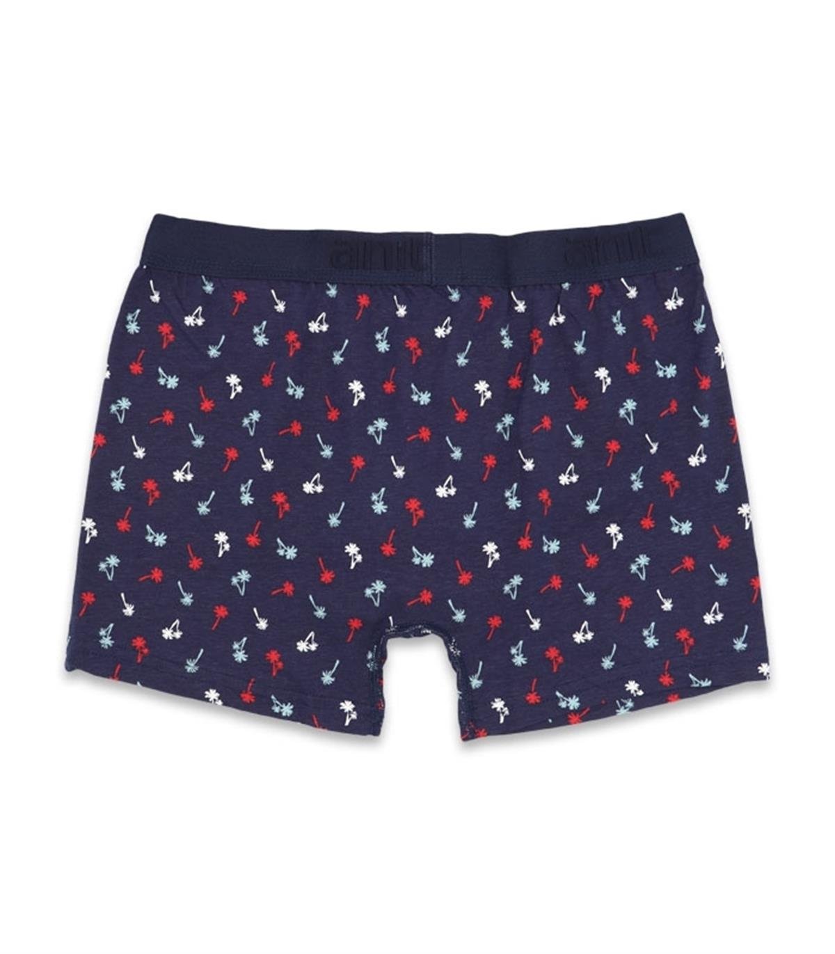 Boxeranıt 1267 Erkek Lycralı Penye Boxer