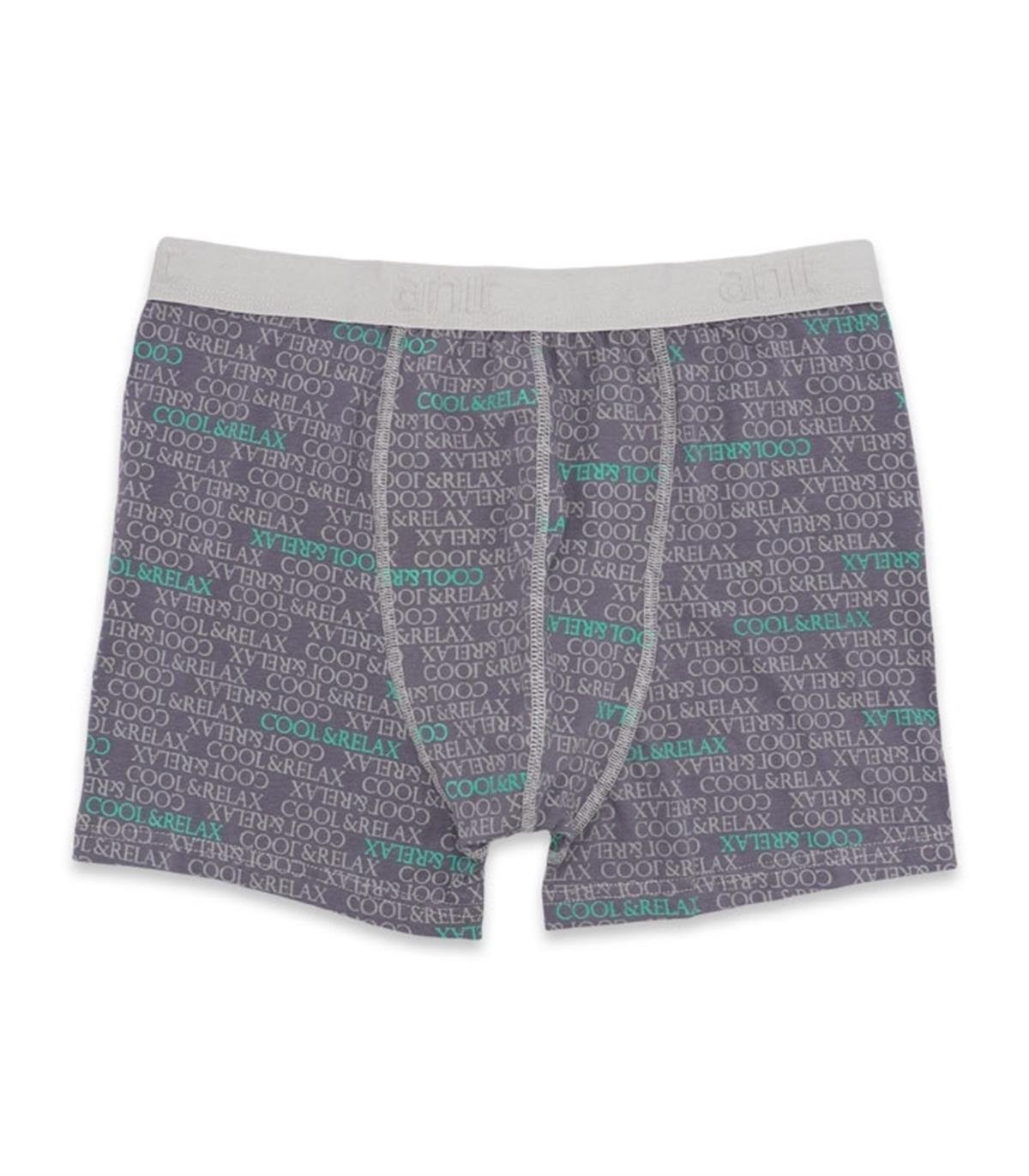 Boxeranıt 1267 Erkek Lycralı Penye Boxer