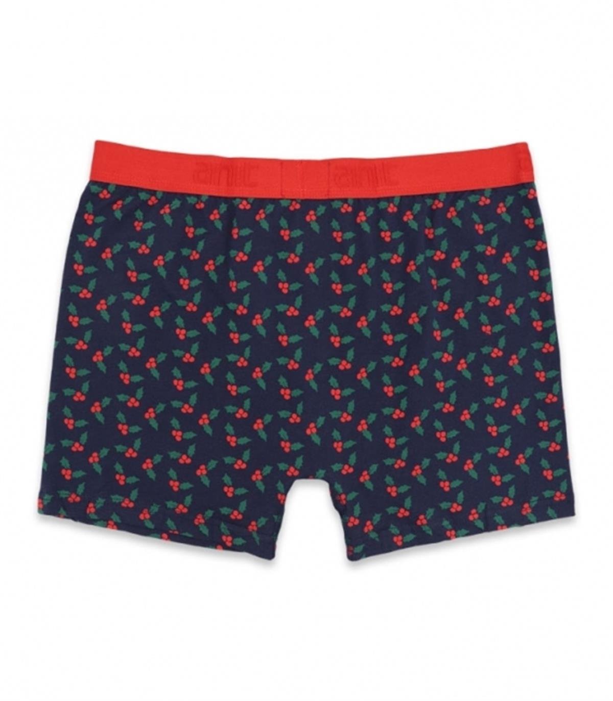 Boxeranıt 1267 Erkek Lycralı Penye Boxer