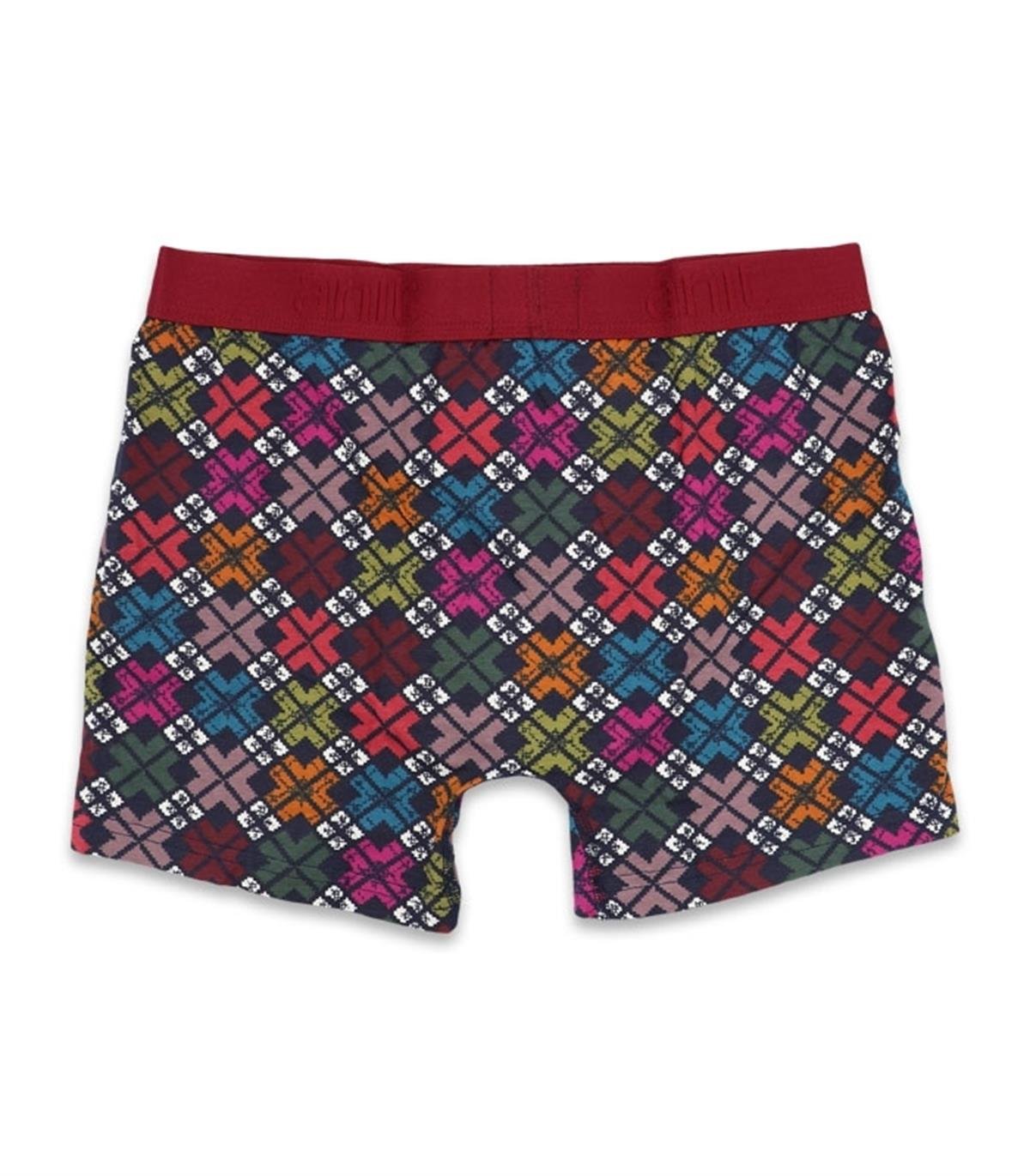 Boxeranıt 1267 Erkek Lycralı Penye Boxer