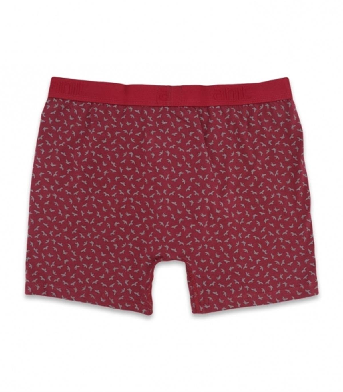 Boxeranıt 1267 Erkek Lycralı Penye Boxer