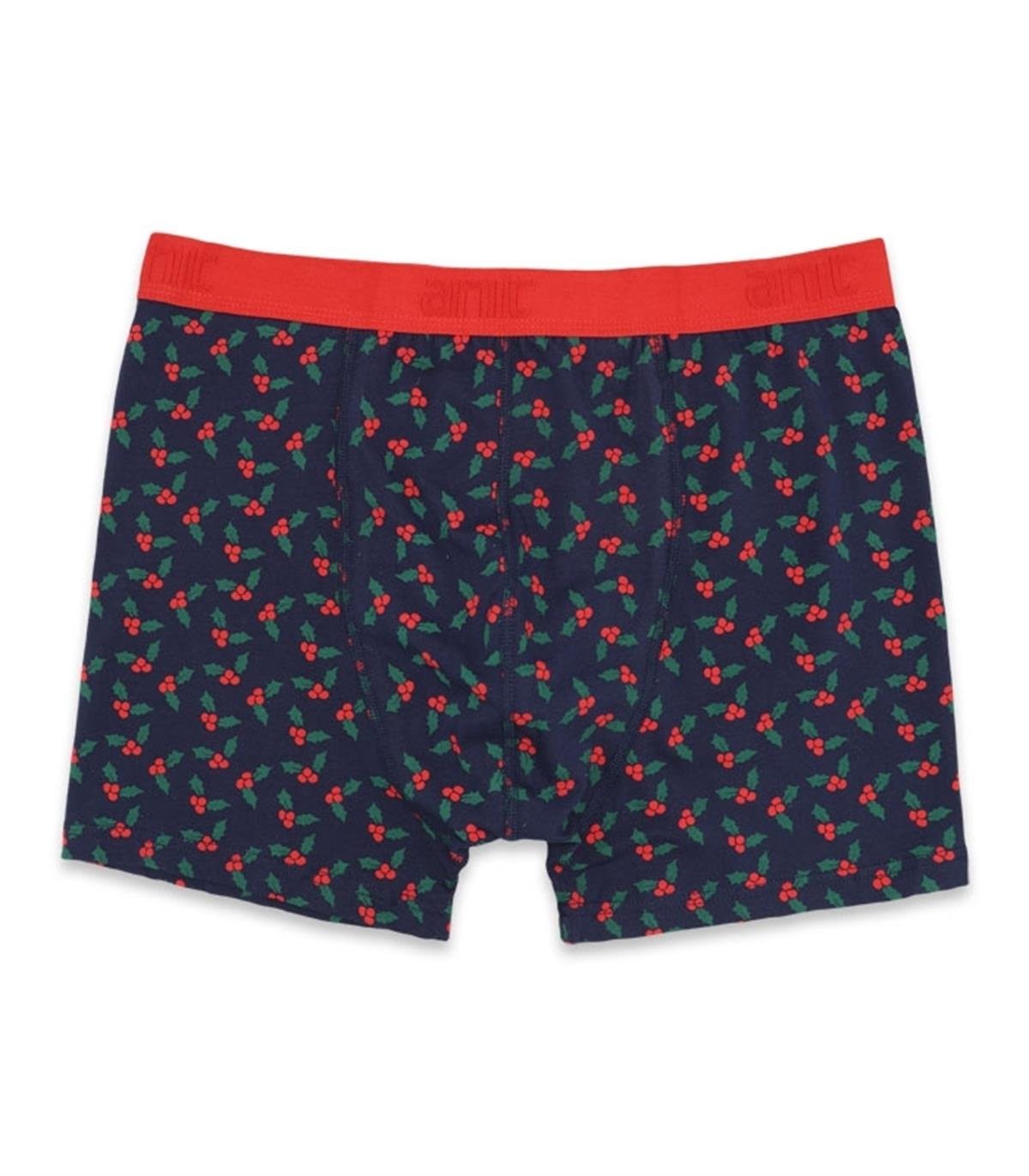 Boxeranıt 1267 Erkek Lycralı Penye Boxer