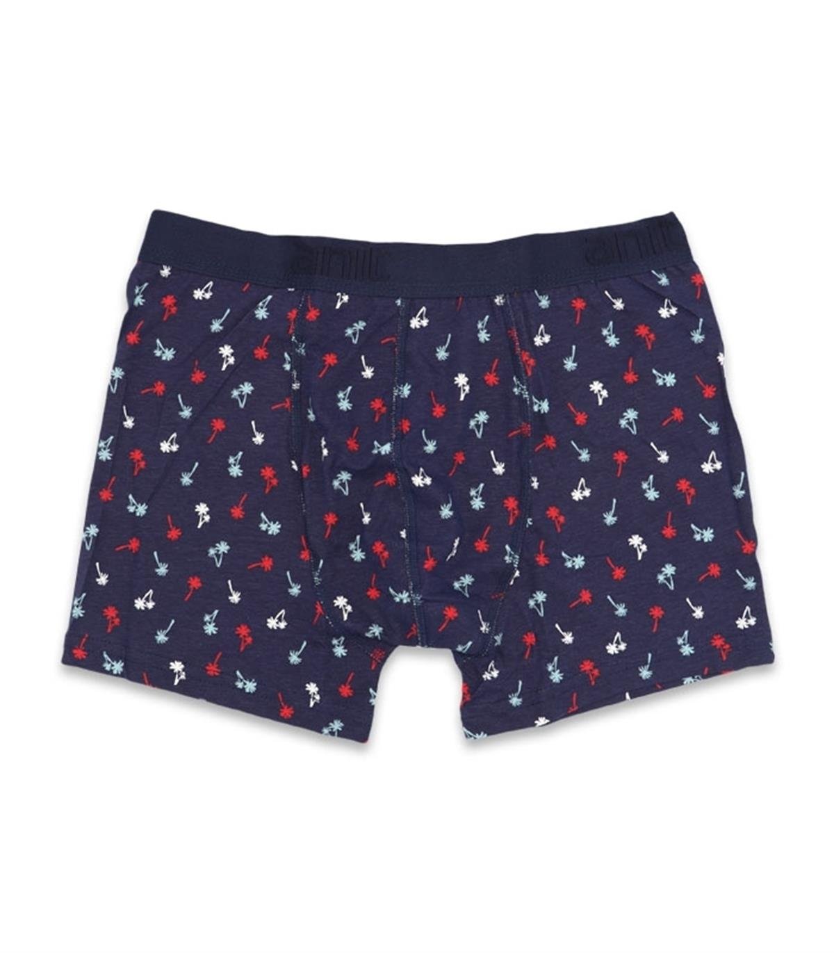 Boxeranıt 1267 Erkek Lycralı Penye Boxer