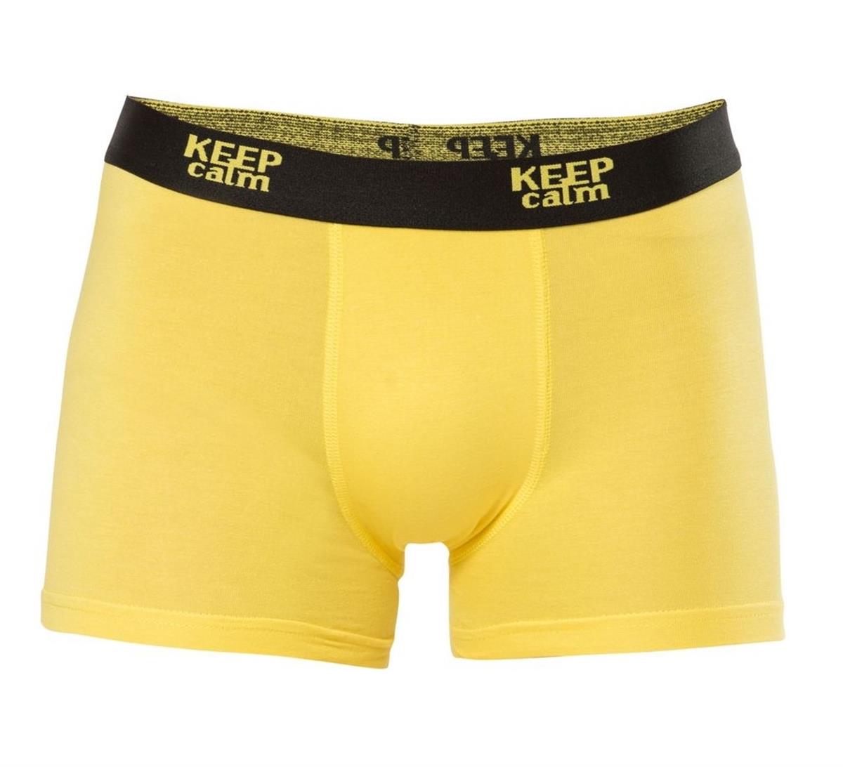 Boxeranıt1266 Erkek Lycralı Penye Boxer