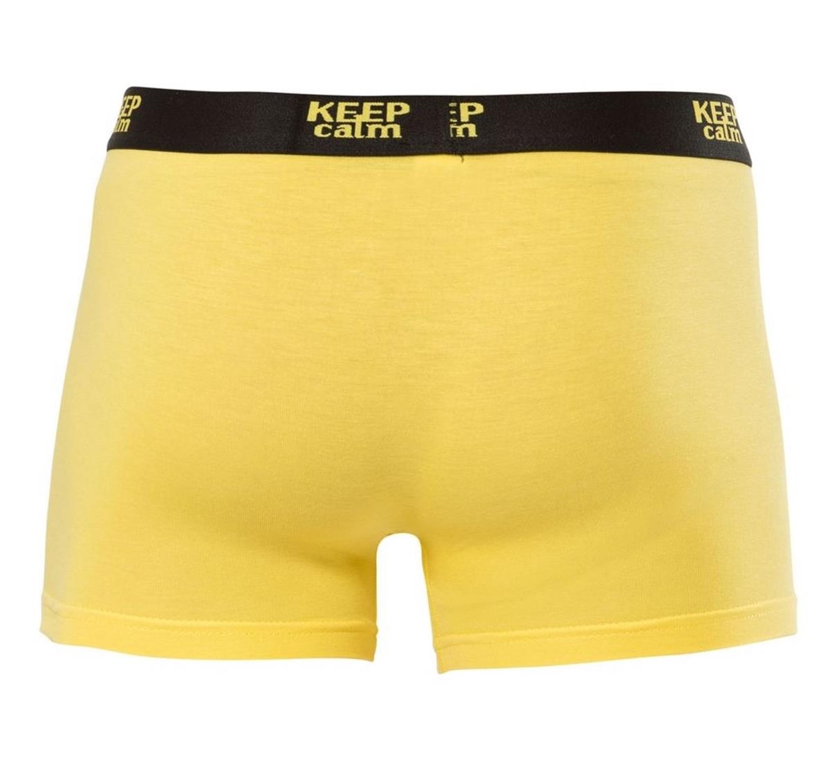 Boxeranıt1266 Erkek Lycralı Penye Boxer
