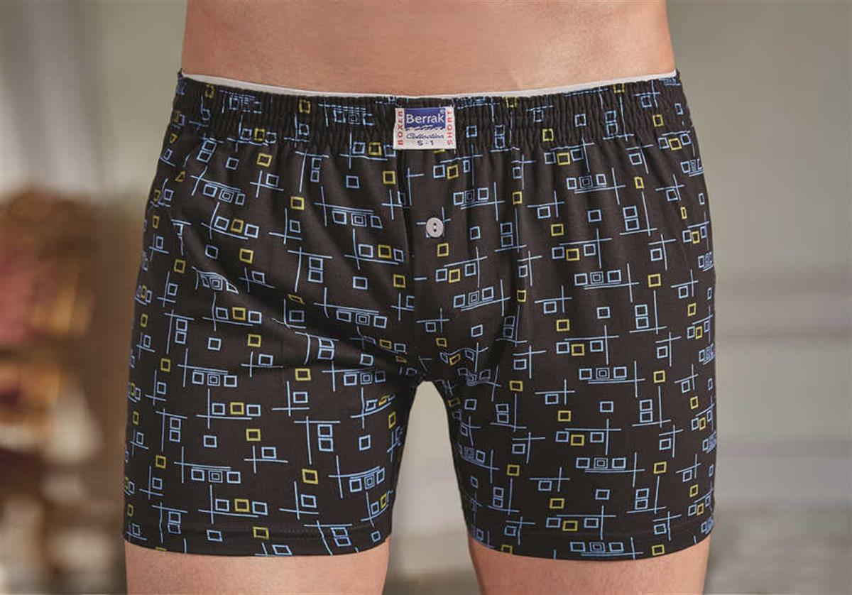 Boxer Berrak 1054 Erkek Asorti Boxer