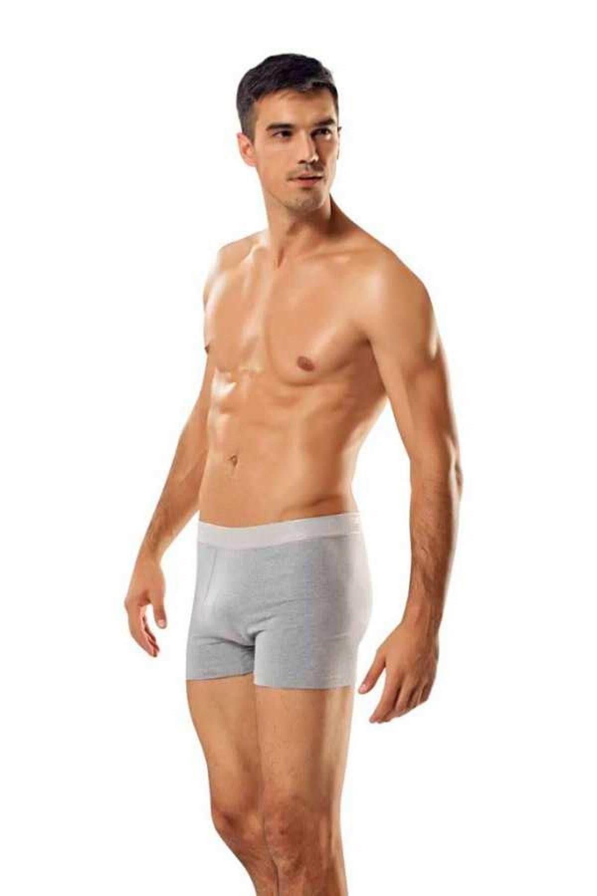BoxerGümüş 4018 Likralı Erkek Boxer