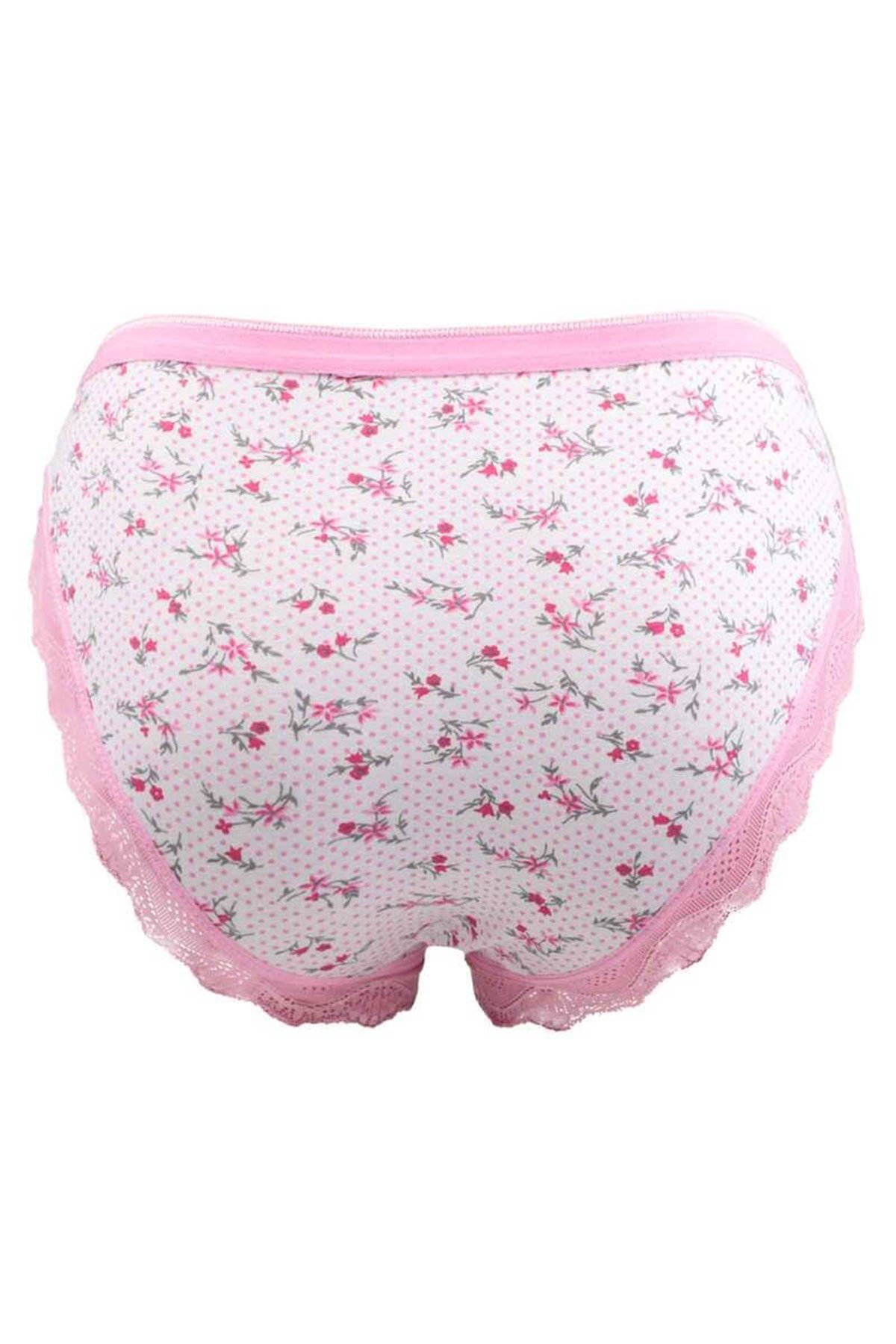 Külot, String, Tanga6'lı Paket Tutku 0528 Nil Desenli Dantelli Elastan Bayan Bikini Külot