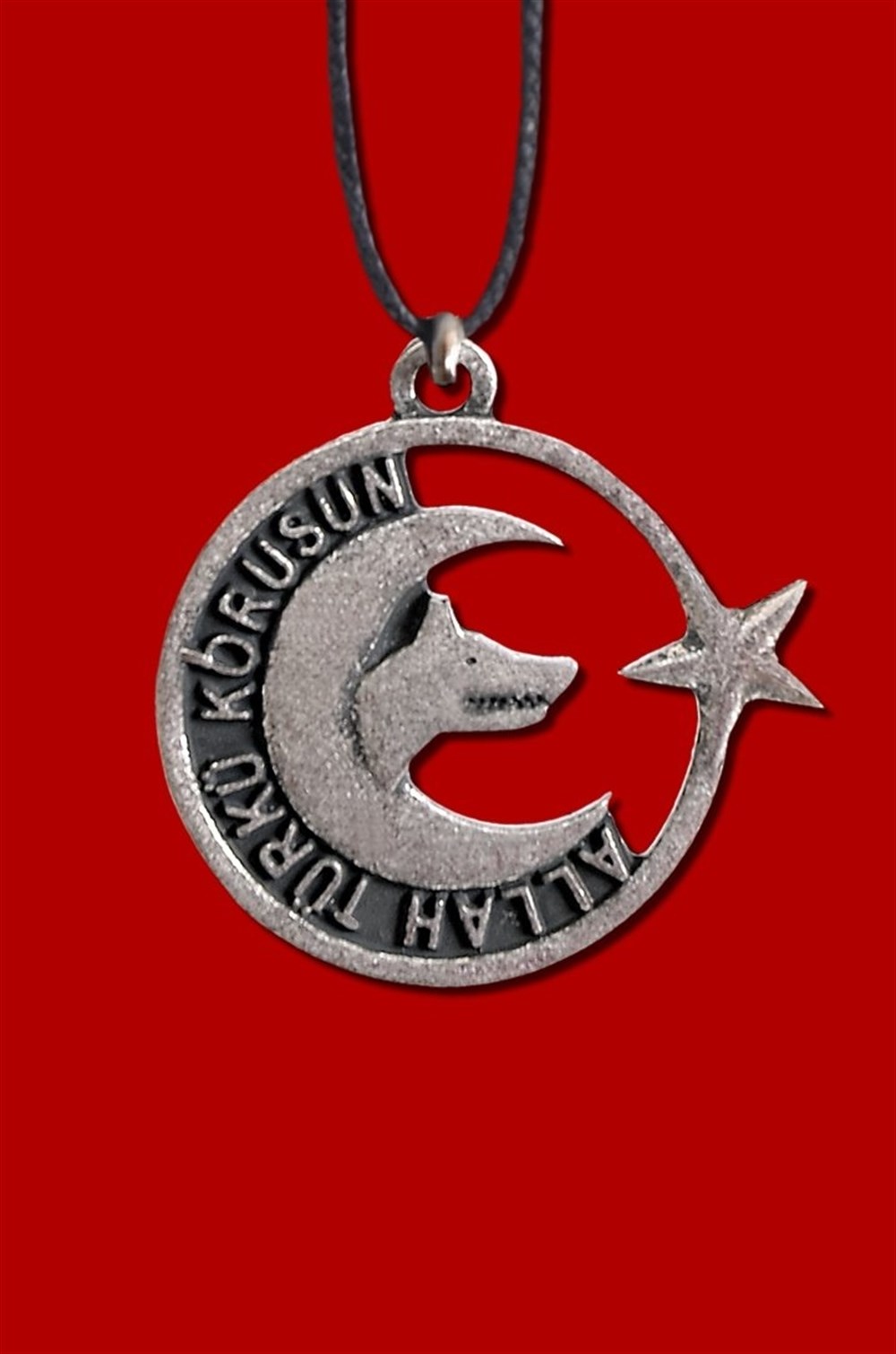 Allah Türki Korusun