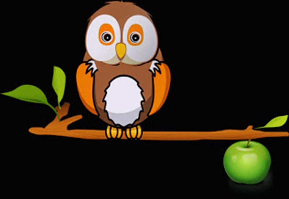 Baykuş Elma Oto Sticker Yapıştırma 2 Adet