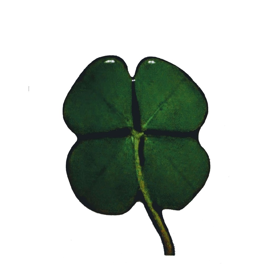 Dört Yapraklı Yonca 3D Oto Sticker Yapıştırma 1 Adet