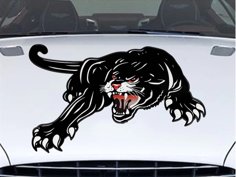 Kaplan Oto Sticker