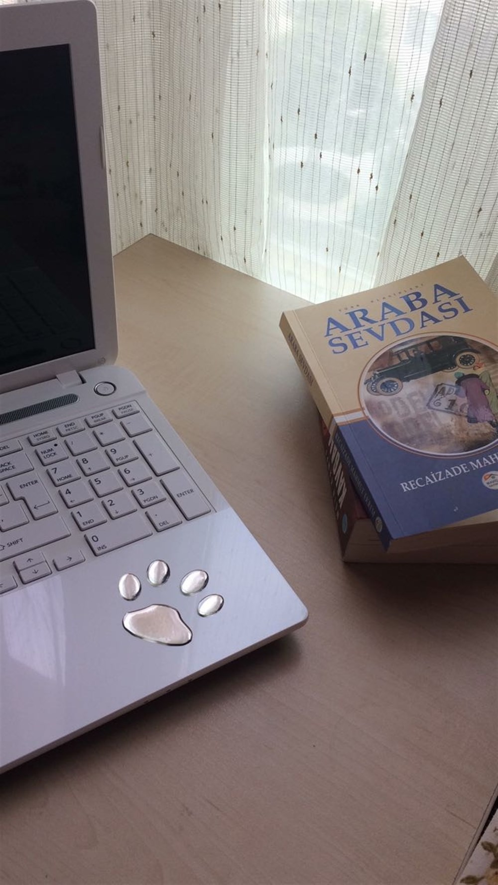 Köpek Patisi Stiker 2 adet