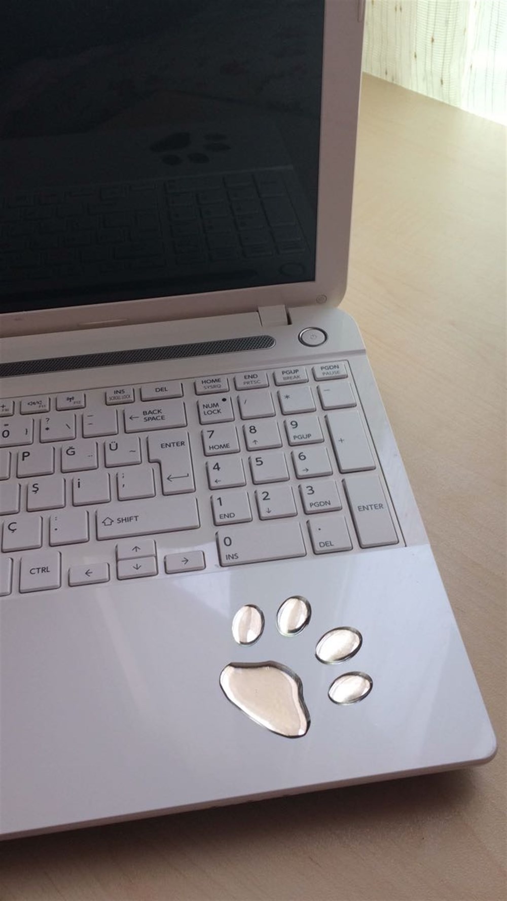 Köpek Patisi Stiker 2 adet