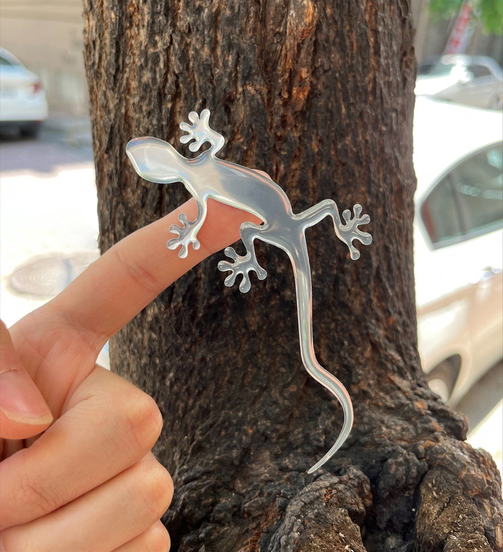 Quattro Gecko Kertenkele 2'li Sticker Seti Gümüş 
