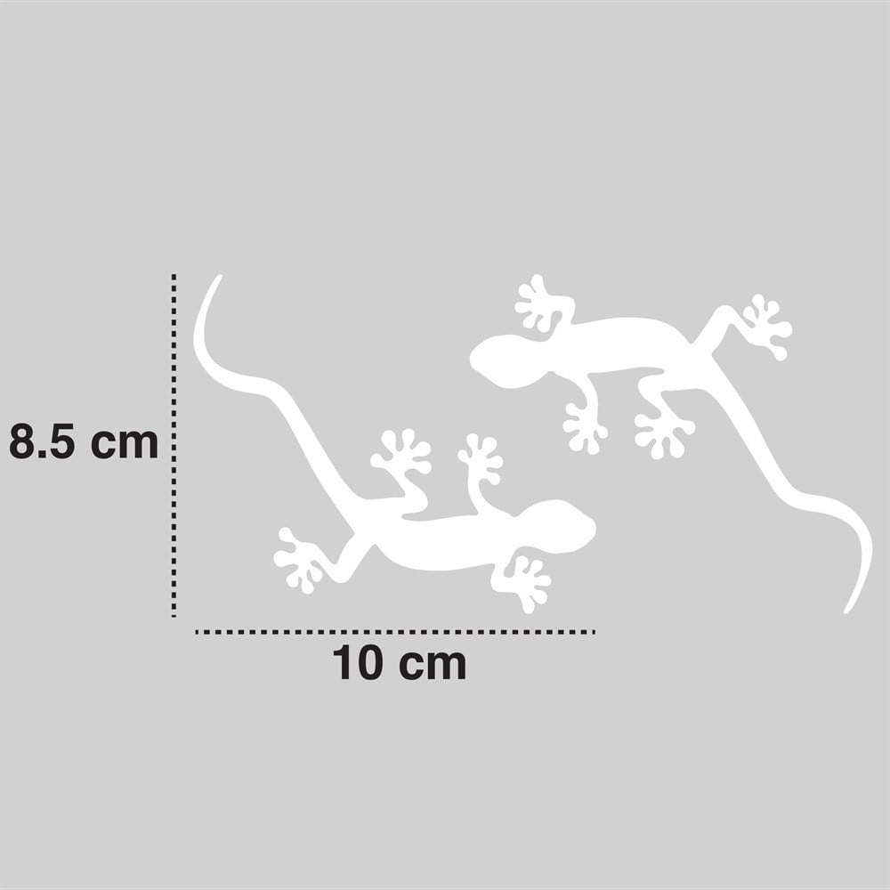Quattro Gecko Kertenkele 2'li Sticker Seti Gümüş 