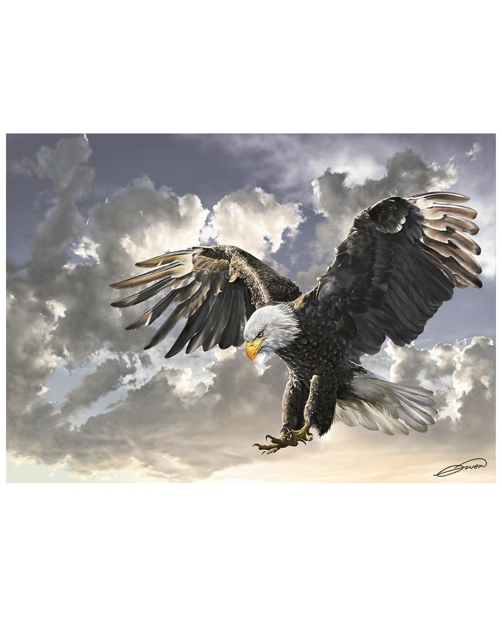 500 Parça Puzzle, ART PUZZLE, Art Puzzle Siyah Beyaz Kartal 500 Parça Puzzle 4167