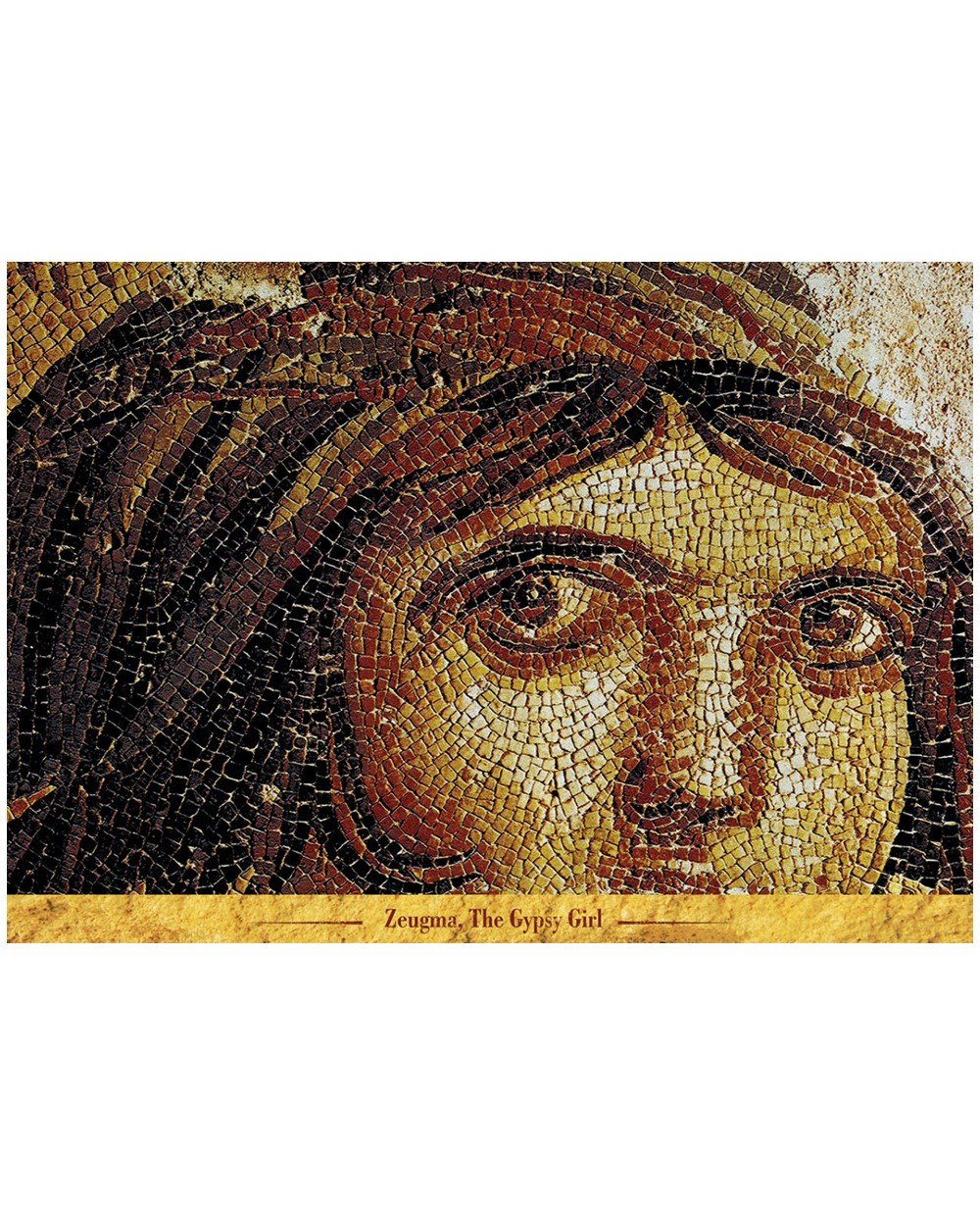 Breadcrumbut, ART PUZZLE, ART PUZZLE 1000Lİ ÇİNGENE KIZI ZEUGMA 68x48CM